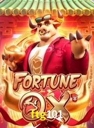 FTG101.COM